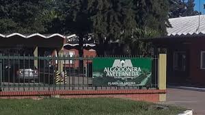 Algodonera del grupo Vicentin se presentó en concurso de&nbsp;acreedores