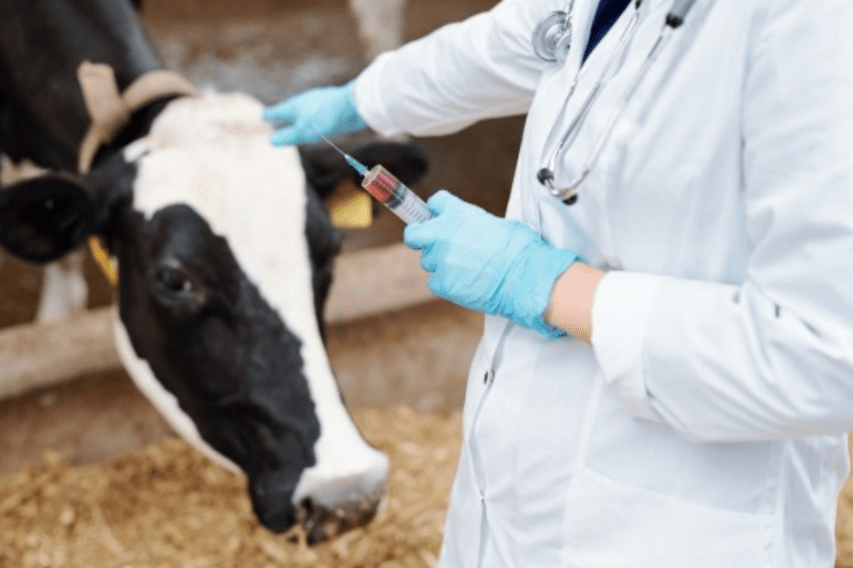 El Senasa rechazó una vacuna antiaftosa que Tecnovax intentaba traer de&nbsp;Brasil