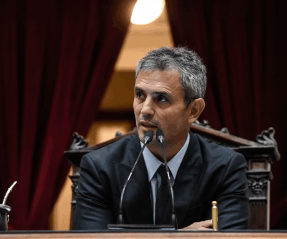 Menem hablo de la designación de una abogada cercana a Kicillof como defensora del&nbsp;Niño