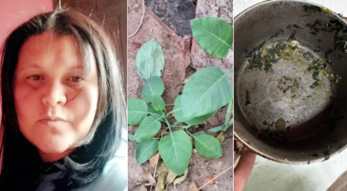 Tragedia en Brasil: una mujer murió y dos hombres están graves tras ingerir una planta tóxica en una&nbsp;quinta